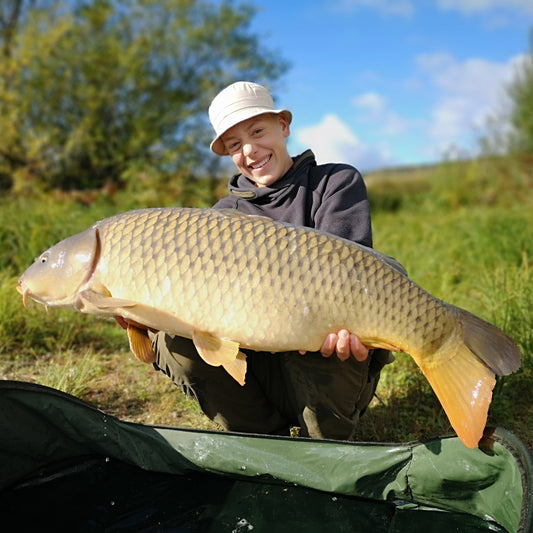 Location ! Location ! Location !