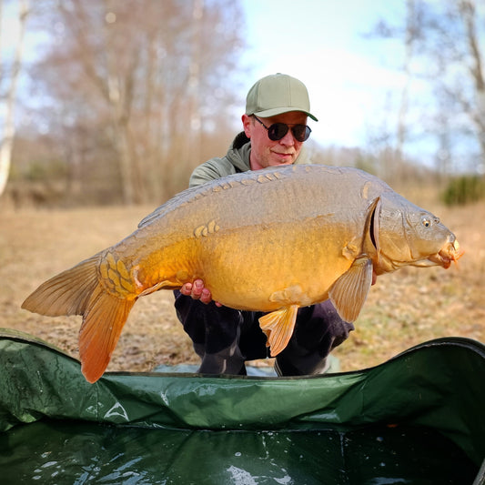 Futter ist Macht - wenn man es richtig einsetzt